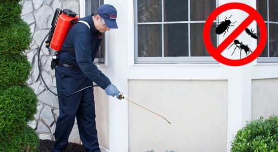 Kurşunlu Karınca İlaçlama böcek ilaçlama ve haşere kontrolü — ilaclama-tr.com